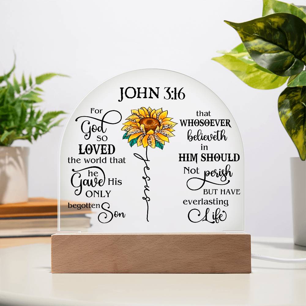 Faith - Bible Verse - John 3:16 - Dome Acrylic Plaque - The Shoppers Outlet