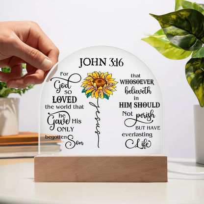 Faith - Bible Verse - John 3:16 - Dome Acrylic Plaque - The Shoppers Outlet