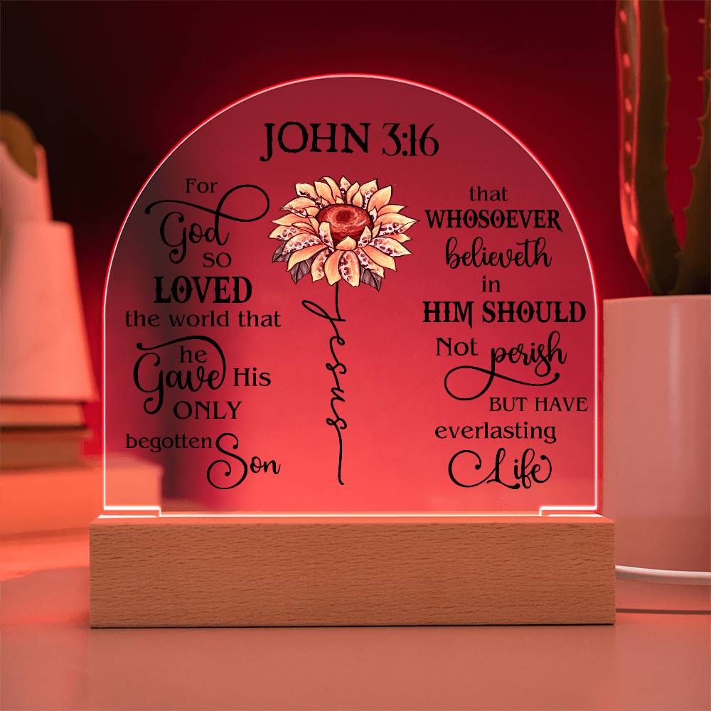 Faith - Bible Verse - John 3:16 - Dome Acrylic Plaque - The Shoppers Outlet