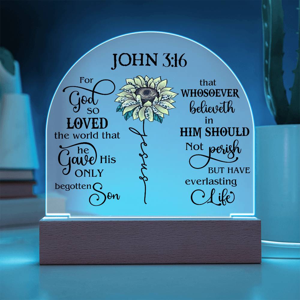 Faith - Bible Verse - John 3:16 - Dome Acrylic Plaque - The Shoppers Outlet