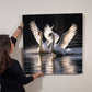 Birds - White Swans - High Gloss Metal Art Prints - The Shoppers Outlet