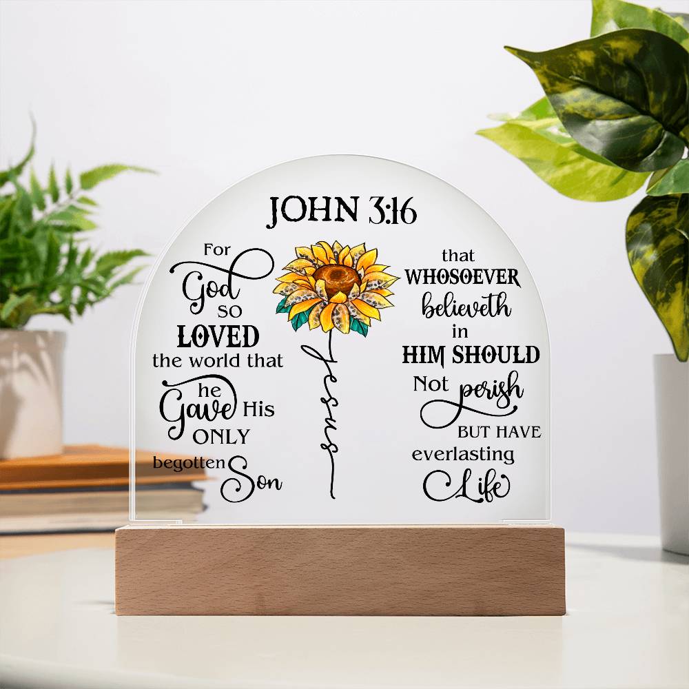 Faith - Bible Verse - John 3:16 - Dome Acrylic Plaque - The Shoppers Outlet