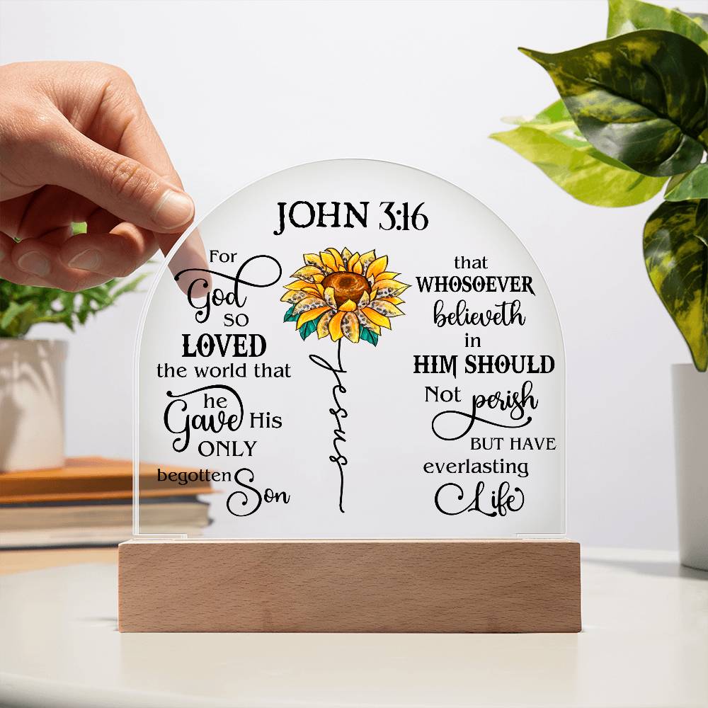 Faith - Bible Verse - John 3:16 - Dome Acrylic Plaque - The Shoppers Outlet