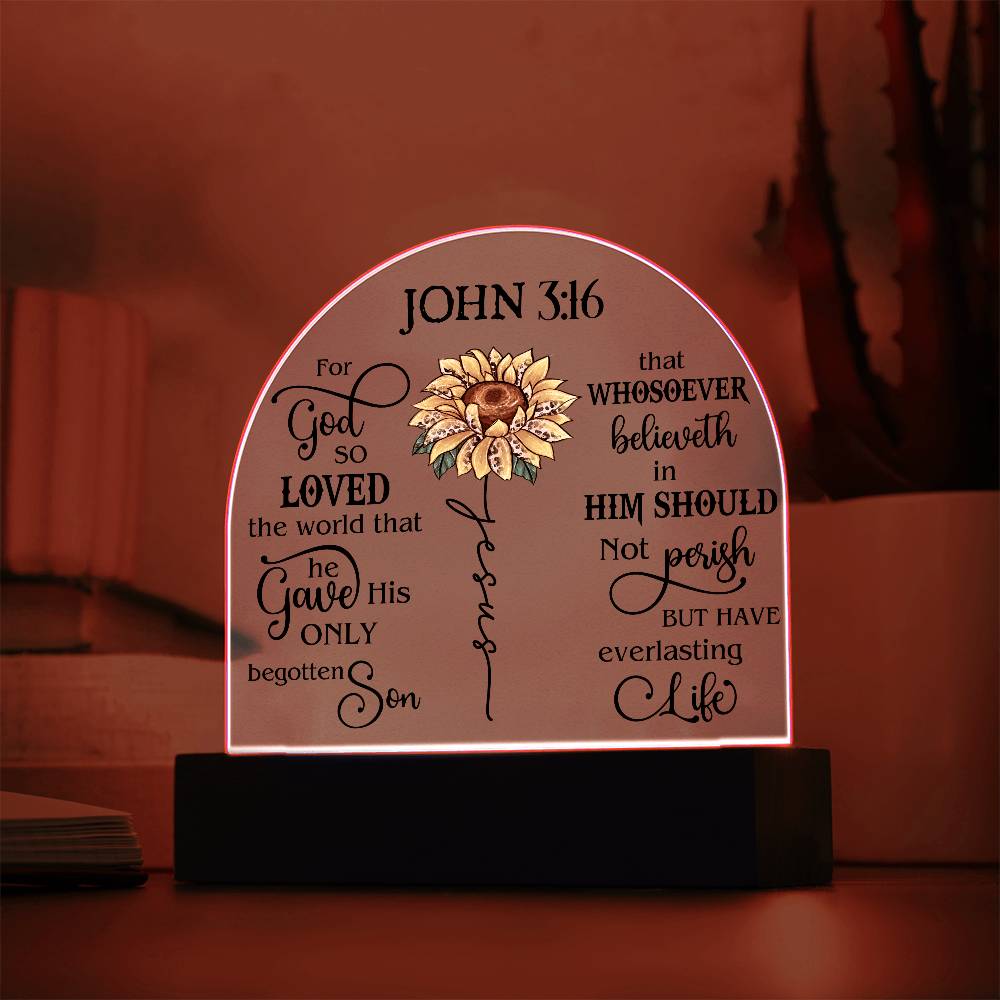 Faith - Bible Verse - John 3:16 - Dome Acrylic Plaque - The Shoppers Outlet