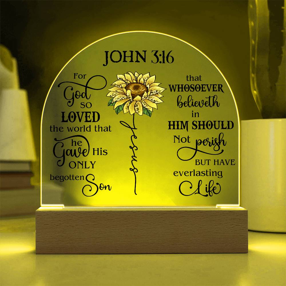 Faith - Bible Verse - John 3:16 - Dome Acrylic Plaque - The Shoppers Outlet