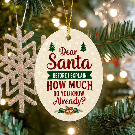 Funny - Holiday Ornament - Dear Santa Before I Explain - High Gloss Oval Ornament - The Shoppers Outlet